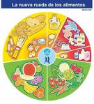 Alimentación alcalina  versus alimentos acidificantes