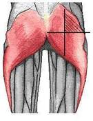 Como hacer glúteos en colchoneta