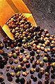 Dieta para aumentar la serotonina