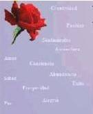 Importancia de la autoaceptación