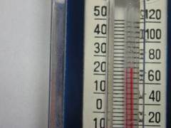 Cómo bajar la fiebre