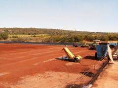 Plantación de Rooibos