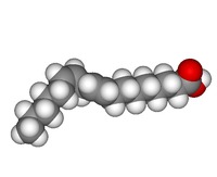 Función de los lípidos