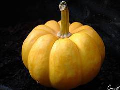 Síntomas de quistes mamarios y fitoterapia